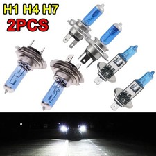 Headlight Bulbs HOD Halogen 12V H1 H4 H7 Pair Ultra White