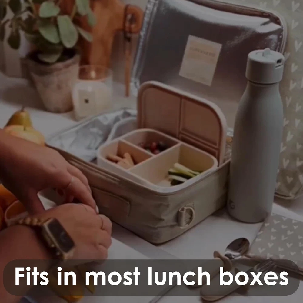 Silicone Pine Bento Lunch Box for Kids Toddlers & Adults