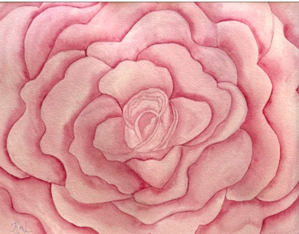 PAINTING WATERCOLOR 11X14 & WHITE MAT 16X20 FLOWER ROSE PINK ORIGINAL ART