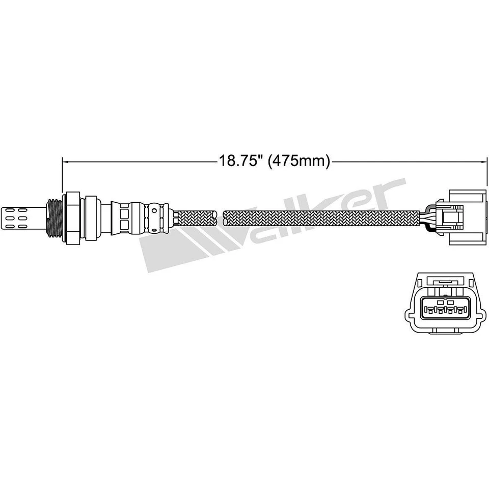 Sensor de oxígeno Walker O2 pasajero derecho aguas abajo para Nissan Altima Murano Foto 4 de 4