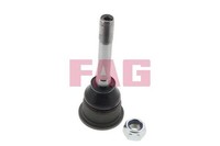 Schaeffler FAG 825 0046 10 Trag-/FüHrungsgelenk FüR Alpina BMW