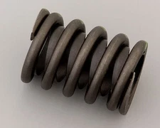 Mopar Performance P4876062 Single Valve Spring with Damper