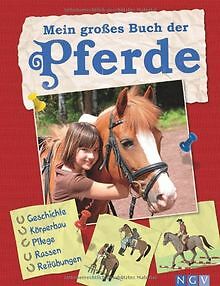 Das große Pferdebuch für junge Reiter von Giada Riondino | Buch | Zustand gut - Giada Riondino