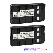 Kastar Replacement Battery for Panasonic PV-BP18 PV-S770A VZ-LDS15 XM-D1BK