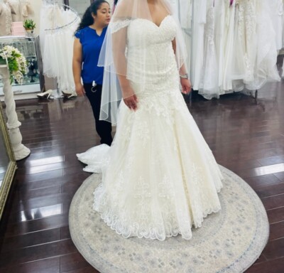 Alana Rose Wedding Dress Alana Rose Wedding Gown Brand New S 18 Ivory Champagne