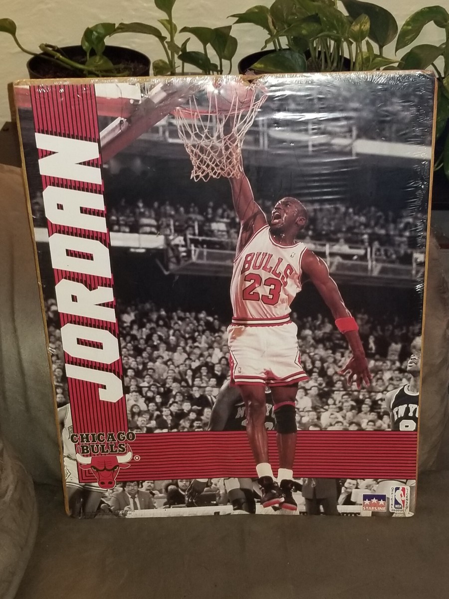 VINTAGE 1990 STARLINE NBA CHICAGO BULLS MICHAEL JORDAN DUNK VINTAGE 1990 STARLINE NBA CHICAGO BULLS MICHAEL JORDAN DUNK