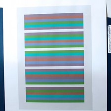 BRIDGET RILEY ORIGINAL 2020 EXHIBITION POSTER 