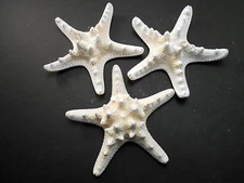 3 Large Knobby White Starfish 4"-5" Beach Cottage Wedding Decor Nautical Crafts