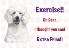 Funny WHITE POODLE Dog Vinyl Car Van Decal Sticker Pet Animal Lover 