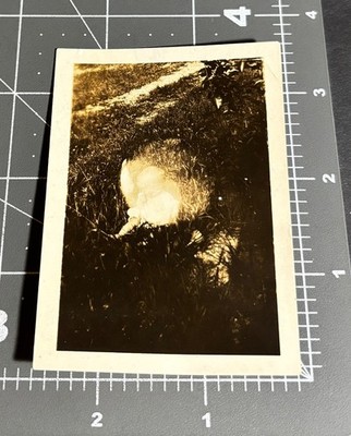 Odd LIGHT Circle ORB Ghost Baby Child Round Glow Abstract Vintage Snapshot PHOTO