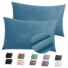 2 Pack Zippered Velvet Pillowcases, Super Soft and Cozy Queen Light Blue