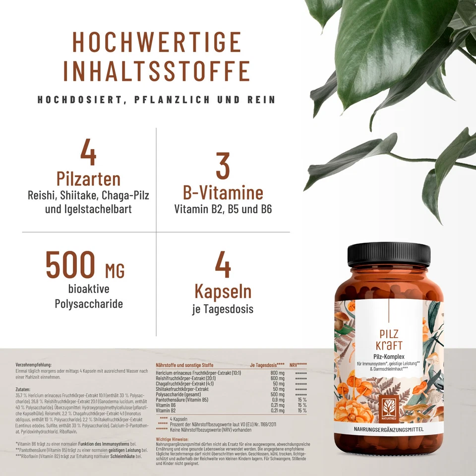 Pilz Komplex Vitamin B2 Chaga Vitalpilze Shiitake Extrakt Pilzkraft NATURTREU® - Bild 2 von 4
