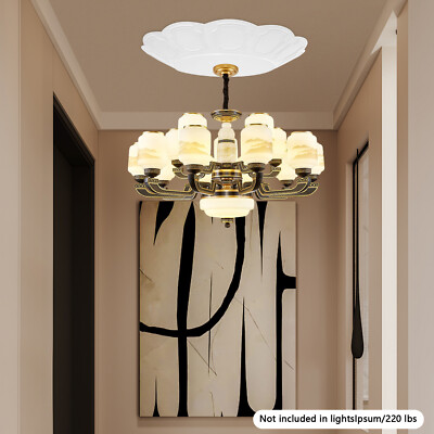 Ceiling Chandelier Hoist Lifter Cover Chandelier Decorative Cover 100kg/220lbs