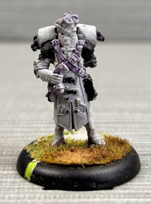 Warmachine: Vergeltung der Scyrah - Arkanist (Privatarbeiterpresse)