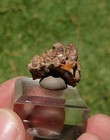 8.1 Gram Rare Parisite Crystal From Snowbird Mine Montana — photo 6