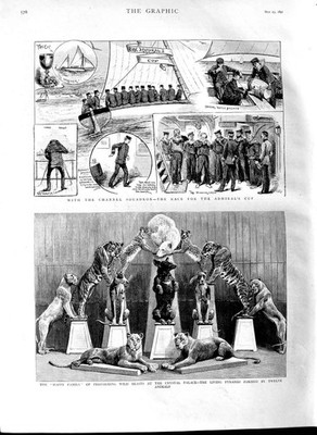 Alter antiker Druck 1891 Admiralstasse Kanal Kristall Palast Löwen Tiger 19.