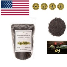 Broccoli Seeds for Sprouting  Microgreens  Waltham 29 Variety  Non GMO  H...