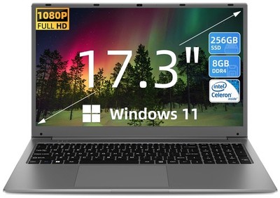 SGIN M17PRO-N 17.3