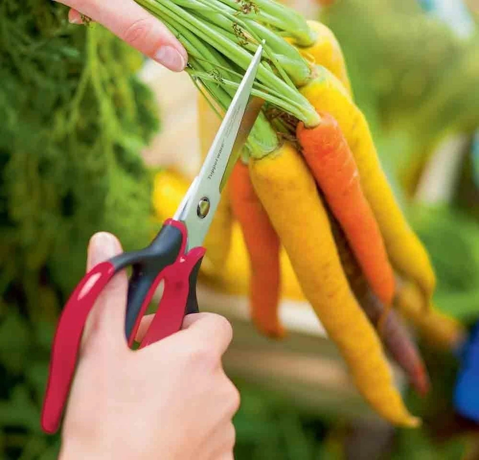 Tupperware Universal Series Kitchen Shears Scissors Black and Red New in Box - Image 4 of 4