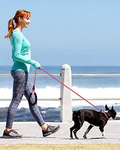 6ft Heavy Duty Dog Leash Training Rope Reflective Slip Leash with Padded Handle - Picture 2 of 6