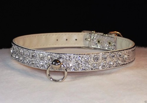 Silver metallic Rhinestone Dog Collar 2 row Stunning Crystal clear Jewels BLING! - Picture 6 of 14