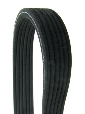 Serpentine Belt-Dual-Sided Multi-V Belt Continental Elite D4060470
