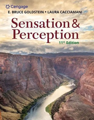 Sensation and Perception | E. Go*dstein (u. a.) | Englisch | Taschenbuch | 2021
