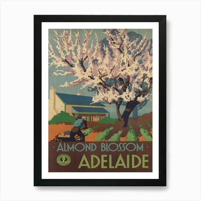 Mandelblüten, Adelaide Australien gerahmtes Wandbild Poster Leinwanddruck Bild