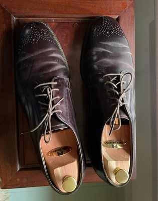 Alden Perforated Wing Blucher Shoe