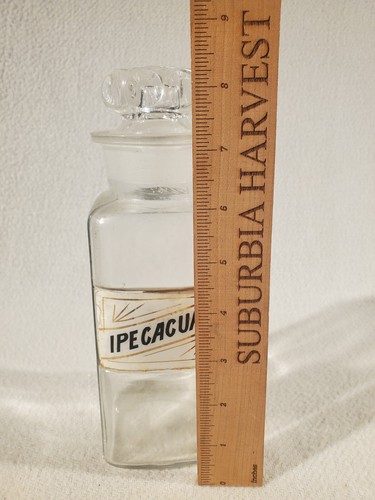 Antique Apothecary Lug Jar Label Under Glass Pharmacy Bottle ~ 8.25" Ipecacuan - Picture 6 of 6