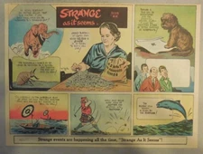 Strange As It Seems: Dog Noseprint, Golf, Japan Umbrella Boats by Hix from 1951