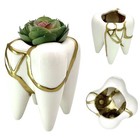 Kintsugi Vase Ceramic Tooth Planter Cache Cup Gold Crack Art Growth Gift Dentist