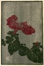 Petunia Edna Boies Hopkins 1922 Arts and Crafts Floral Woodcut Art Print