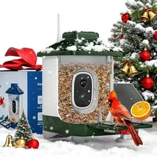 Smart Bird Feeder with Camera, AI Identify Bi rd Species Solar Dark Green