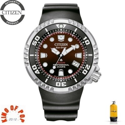 CITIZEN BN1024-01Z Promaster Eco Drive Diver's 300 *FREE SHIPPING*