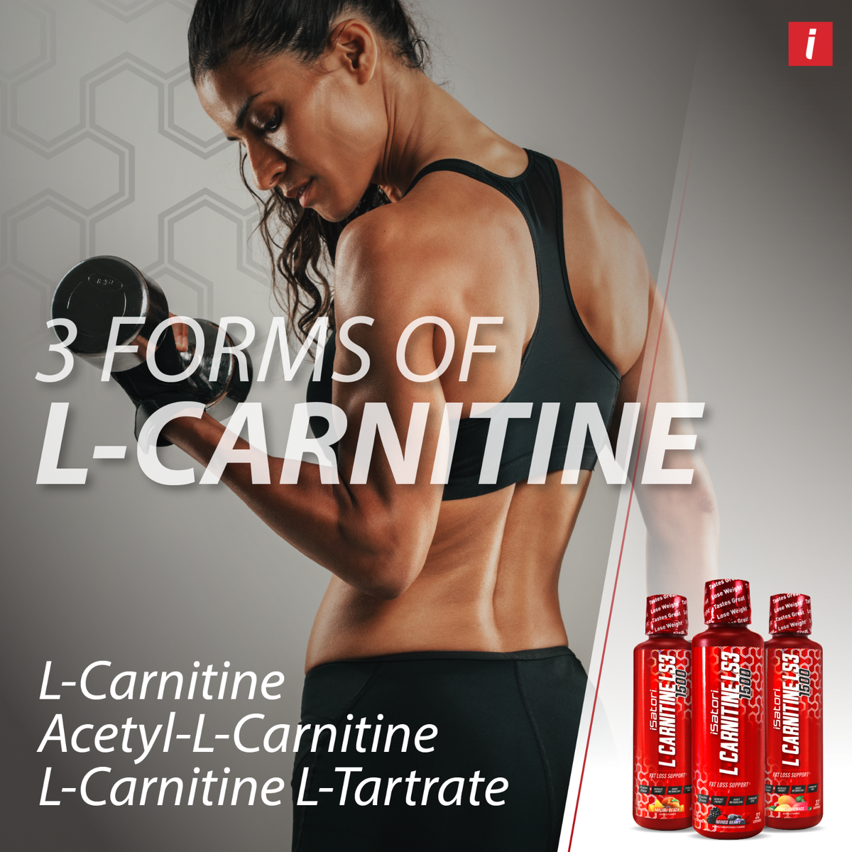 isatori l carnitine L-CARNITINE LS3 1500 Fat Loss - Metabolism How Many?:10 Pack bamboo silica What are the many