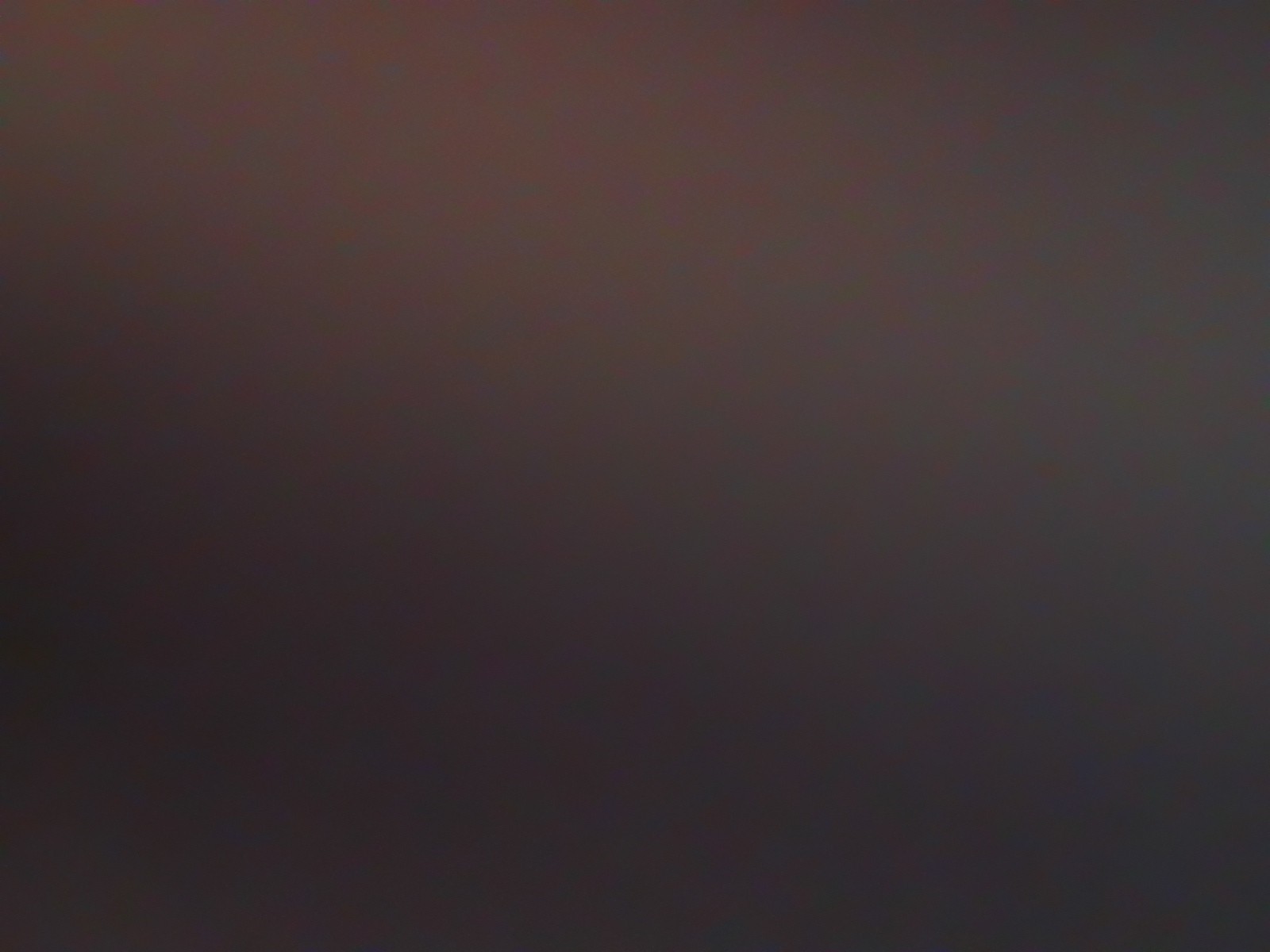 BlackClarks Cloudsteppers Cushionsoft Sandals W/A… - image 16