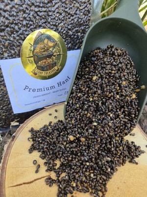 Carp Treasure Premium Hanf/ gekocht/ Partikel/ Ready to use/ Carp Treasure