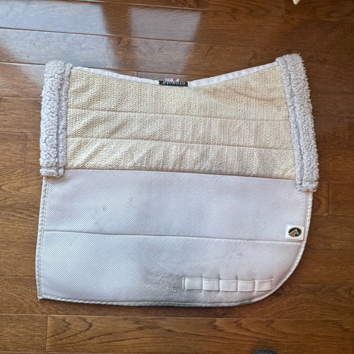 Coussin Carré Chien Déhoussable