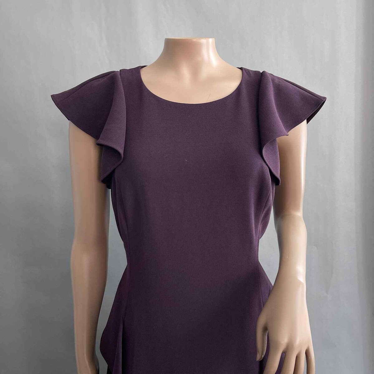 Rebecca Taylor Dress Women 6 Purple Ruffled Crepe A Line Flutter Sleeve | eBay Rebecca Taylor Dress Women 6 Purple Ruffled Crepe A Line Flutter Sleeve | eBay