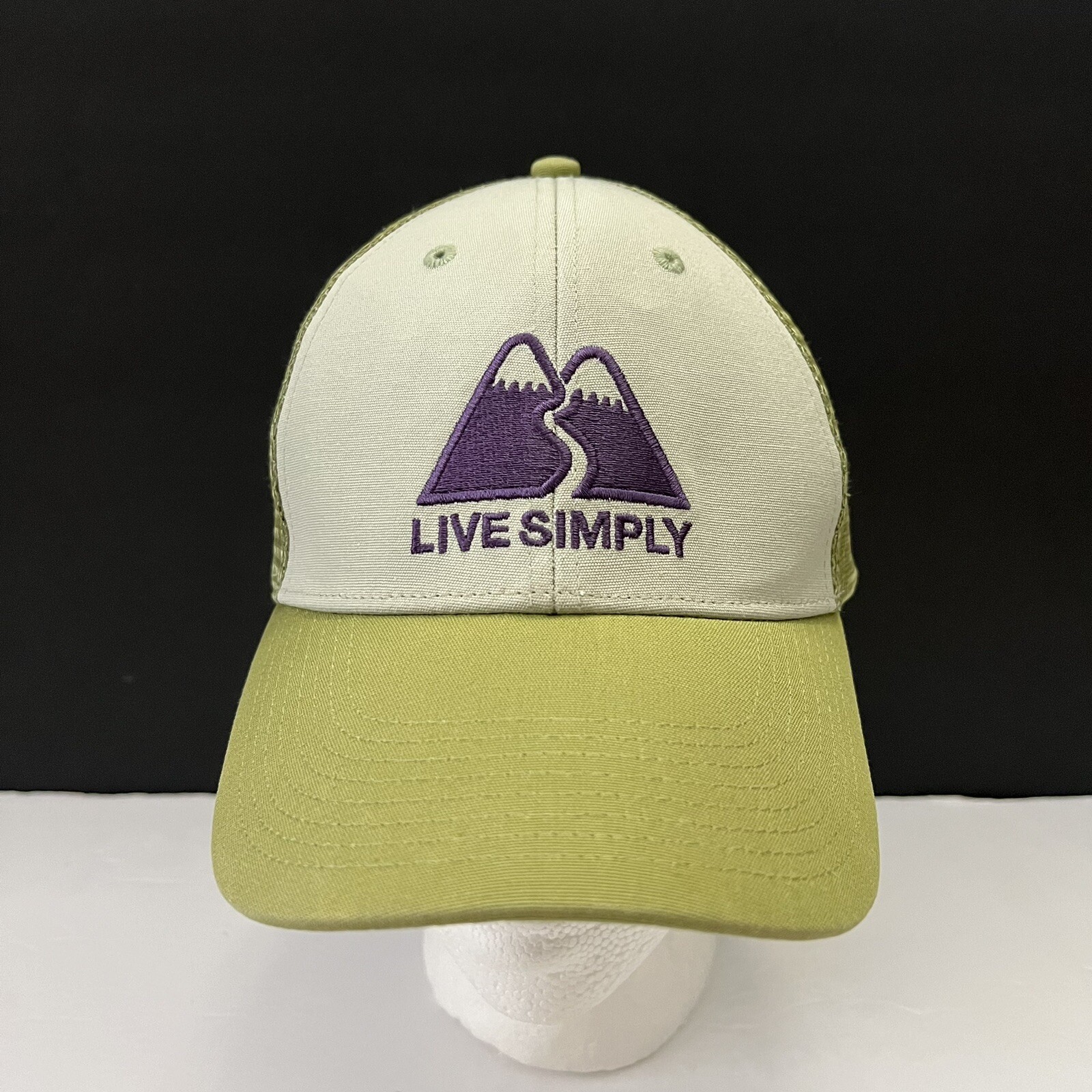 Patagonia Live Simply Winding Lopro Trucker Cap Desert Sage 