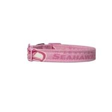 Pink Seattle Seahawks Handmade Safety CAT Collar - ADULT