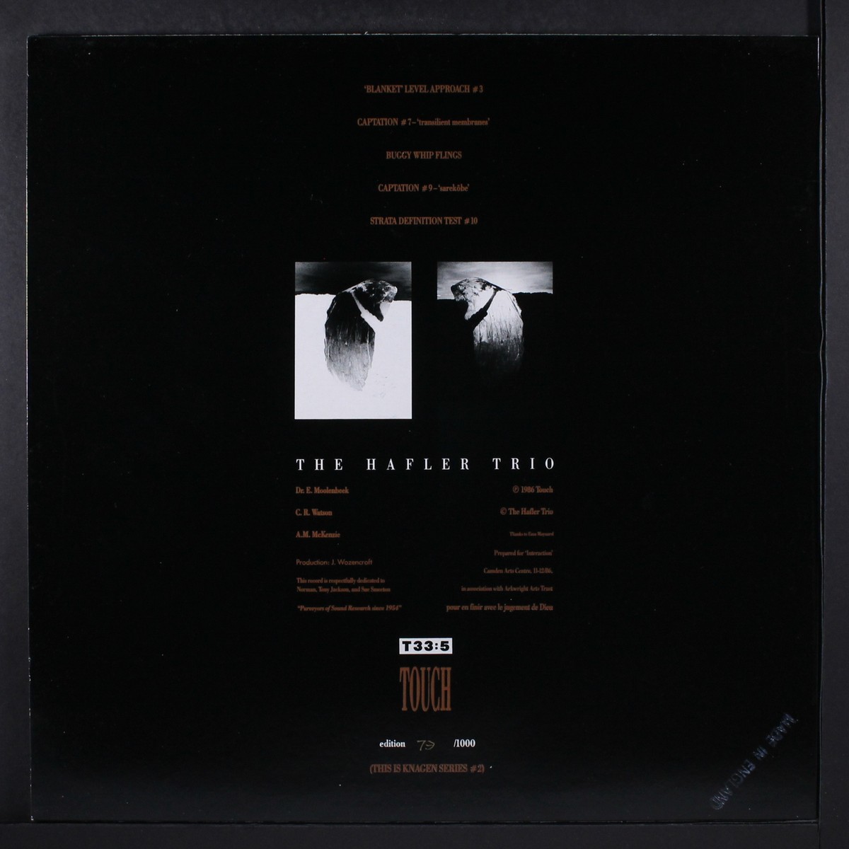 Brain – Trio Hafler The SONG．限定1000！ BRAIN ／ TRIO HAFLER THE Song (12 Vinyl – その他