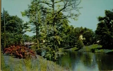 Deer Creek Leland Mississippi Chrome Postcard 1959 Landscape