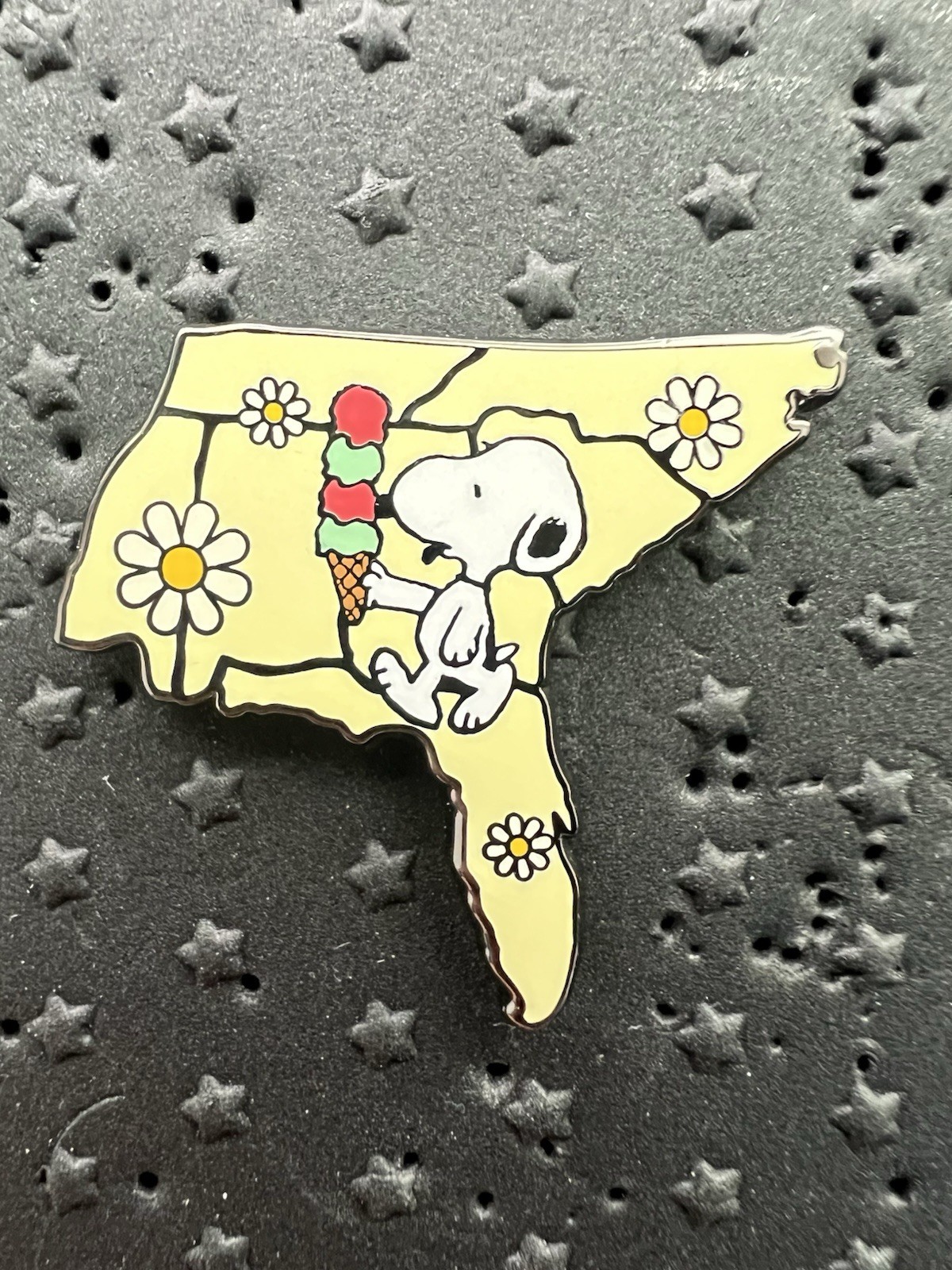Loungefly Peanuts Snoopy USA Road Trip Southeast Mystery Box Enamel Pin