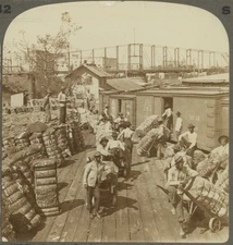 African American Laborers 1890 Black Workers Stevedores Dockworkers Cotton Photo