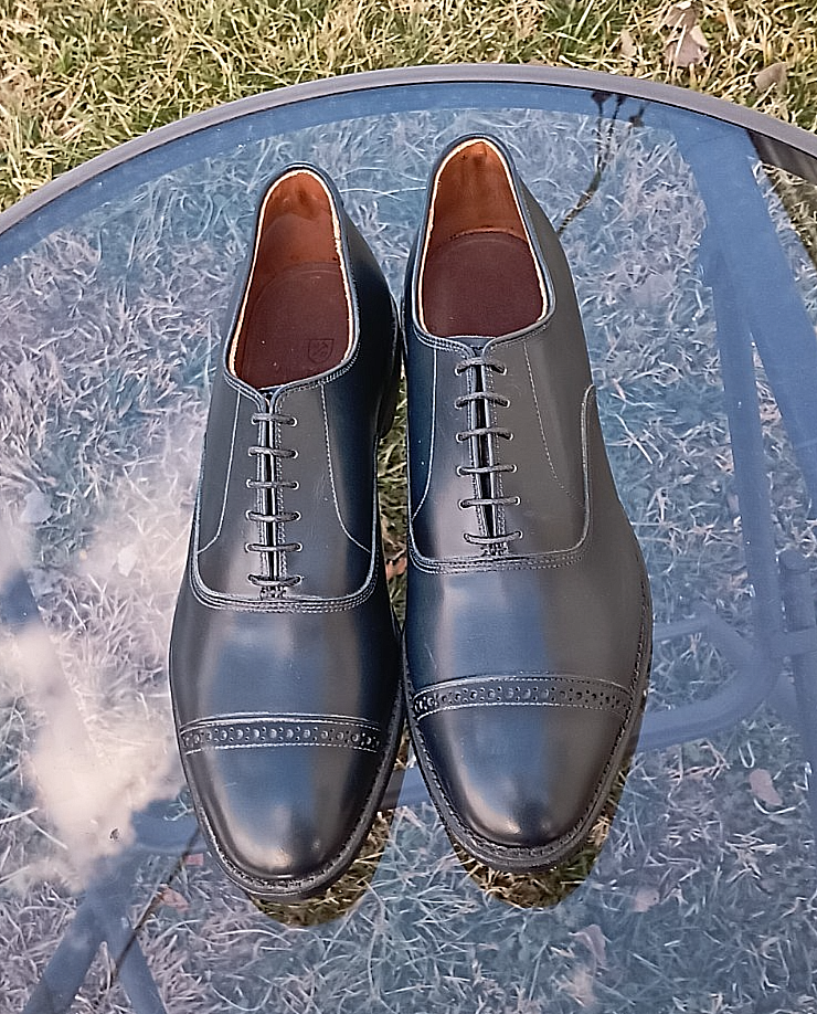 New Allen Edmonds 'Fifth Avenue' 11.5E Navy Oxford USA $450 | eBay