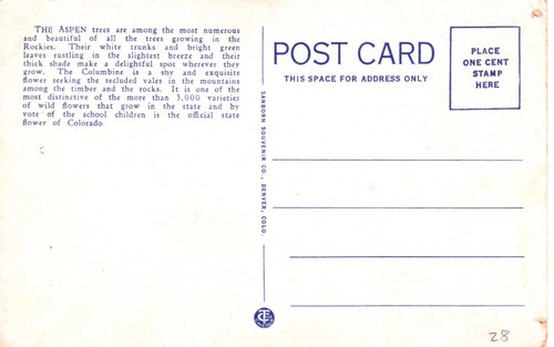 Postal Vintage Colorado Árbol de Álamo la Columbina Estado Doiente Flor cultivo - Imagen 2 de 2
