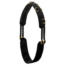 Weaver Leather Weaver 10-Ring Neoprene Lined Nylon Surcingle