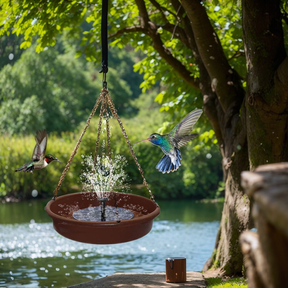 Solar Powered Hummingbird Water Fountain Solar Fountain Pool Outdoor